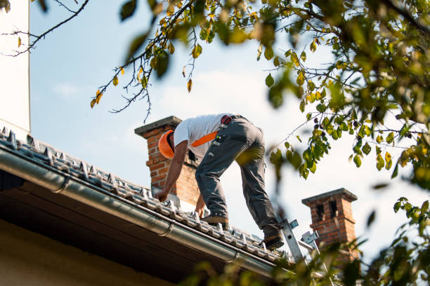 Best Flat Roof Repair Services  in Berthoud, CO